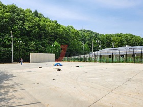 034cd6fe323e5e6e5a334a00a5557b08_1767337087_467.jpg 034cd6fe323e5e6e5a334a00a5557b08_1767337087_467.jpg