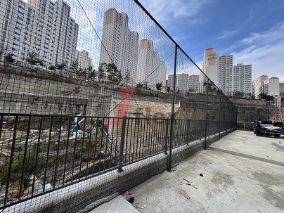 5033fe912f954715d7bee0fafd0fb0ae_1767587625_462.jpg 5033fe912f954715d7bee0fafd0fb0ae_1767587625_462.jpg